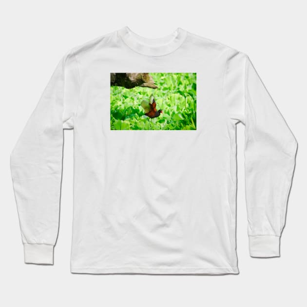 Bird on water plants / Swiss Artwork Photography Long Sleeve T-Shirt by RaphaelWolf